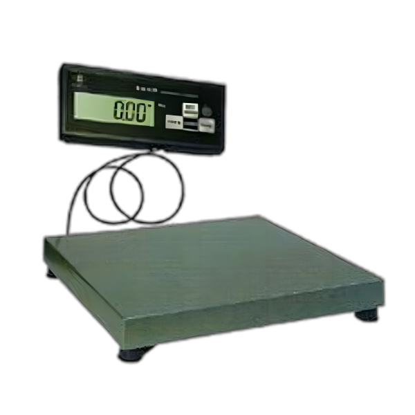 Electronic scale