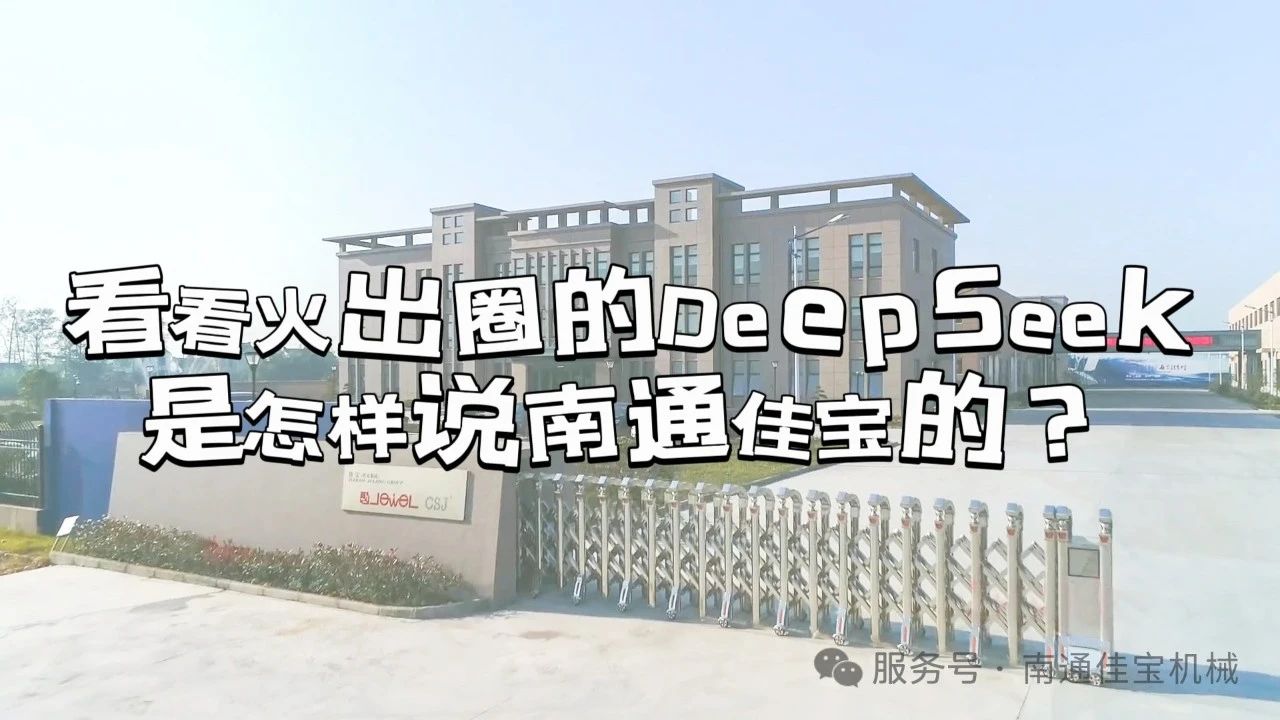 DeepSeek, who became popular, 